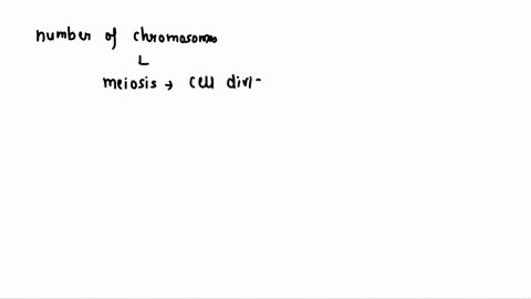 2-explain-how-the-number-of-chromosomes-per-cell-is-cut-in-half-during-meiosis-in-which-the-diploid-parent-cell-produces-haploid-daughter-cells-27733