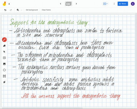 the-endosymbiotic-theory-argues-that-prokaryotic-cells-became-some-of-the-organelles-of-early-eukaryotic-cells-which-of-the-following-supports-this-theory-multiple-choice-mitochondria-and-ch-32222
