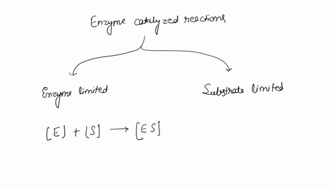 what-does-it-mean-to-say-that-an-enzyme-catalyzed-reaction-is-either-enzyme-limited-or-substrate-limited-33998