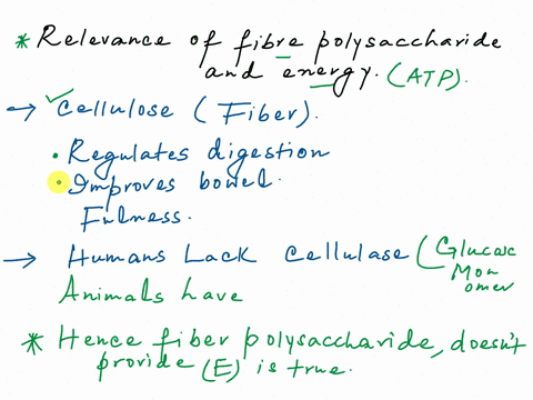 fiber-is-a-polysaccharide-that-does-not-provide-energy-to-the-body-true-or-false-35288