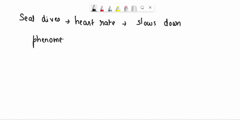 an-contain-viruses-unless-you-need-to-edit-its-safer-to-stay-in-protected-view-enable-editing-how-does-the-seals-heart-respond-to-diving-1-point-what-do-the-heart-rate-and-consumption-rate-p-90307
