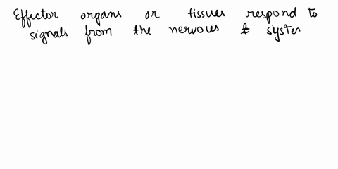 which-of-the-following-does-the-nervous-system-have-control-over-can-stimulate-a-response-fromnotethese-are-the-effector-organstissues-of-the-nervous-systemmark-all-that-apply-o-glandular-ti-22494