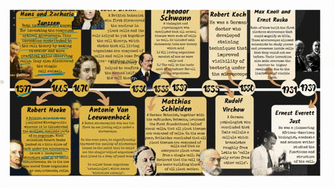 match-the-scientist-to-their-contribution-to-the-cell-theory-coined-the-word-cell-choose-virchow-and-pasteur-schlieden-and-schwann-hooke-brown-darwin-hypothesized-all-cells-come-from-pre-exi-90196