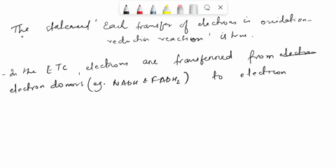 which-of-the-following-statements-is-true-of-electron-transfer-in-the-electron-transport-chain-nadh-is-strang-electron-acceptor-nadh-has-relatively-high-electron-affinity-and-initiates-the-e-98663