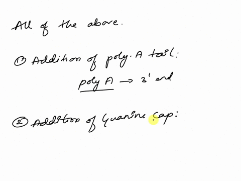 question-16-not-yet-answered-marked-out-of-2-f-flag-question-which-of-the-following-isare-the-steps-involved-during-mrna-maturation-in-eukaryotes-select-one-a-addition-of-the-poly-a-tail-b-a-51607