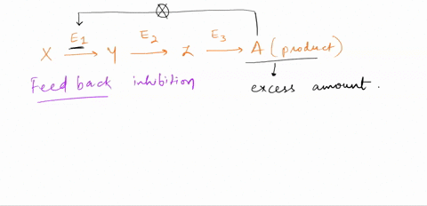 a-series-of-enzymes-catalyze-the-reaction-x-y-z-a-product-a-binds-to-the-enzyme-that-converts-x-to-yat-a-position-remote-from-its-active-site-this-binding-decreases-the-activity-of-the-enzym-22136