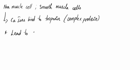 how-do-calcium-ions-stimulate-contraction-in-nonmuscle-cells-and-smooth-muscle-cells-a-calcium-ions-released-into-the-cell-promote-the-release-of-secretory-vesicles-that-send-neurotransmitte-62687
