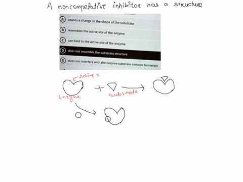 noncompetitive-inhibitor-has-a-structure-that-causes-a-change-in-the-shape-of-the-substrate-resembles-the-active-site-of-the-enzyme-can-bind-to-the-active-site-of-the-enzyme-does-not-resembl-66806