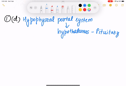 20-hypothalamic-releasing-hormones-travel-to-the-adenohypophysis-anterior-lobe-through-the-a-neurohypophysis-b-pituitary-duct-c-bile-duct-d-hypophyseal-portal-veins-e-interventricular-aquadu-96878