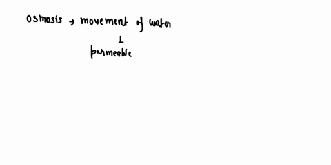 follaninn-kicet-ale-ele-irt-ae-4esit-dj-being-conpkcieh-untur-eki4-elid-lef-nfof-matlos-catf-enafne-aft-5-tha-iobor-int-fr-endoplatmdc-reticuluer-irnendet-modifie-fnoterns-iar-tarpon-ol-prra-00334