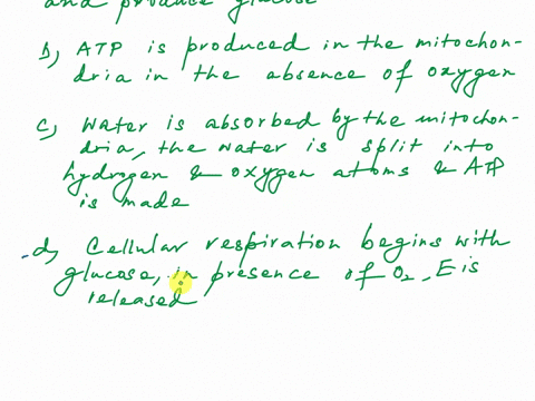 which-statement-below-correctly-summarizes-cellular-respiration-a-using-oxygen-cells-absorb-sunlight-and-produce-glucose-b-atp-is-produced-in-the-mitochondria-in-the-absence-of-oxygen-c-wate-78126