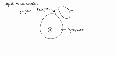 signal-transduction-in-cells-is-defined-as-transmission-of-molecular-signals-from-b-transmission-outside-the-cell-into-the-cell-via-cell-surface-of-molecular-signals-from-inside-the-cell-to-03885