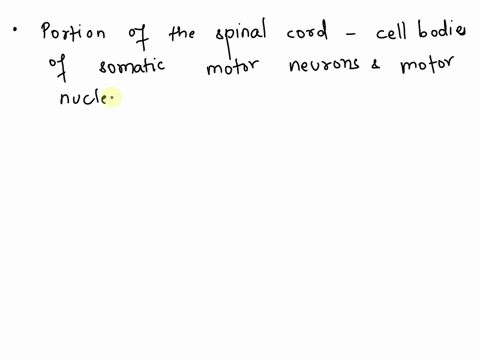 0167pts-question2-which-portion-of-the-spinal-cord-contains-the-cell-bodies-of-somatic-motor-neurons-andmotor-nuclei-c-d-e-g-h-courtesy-michael-rossunirersity-of-florida-b-oc-od-dh-34699