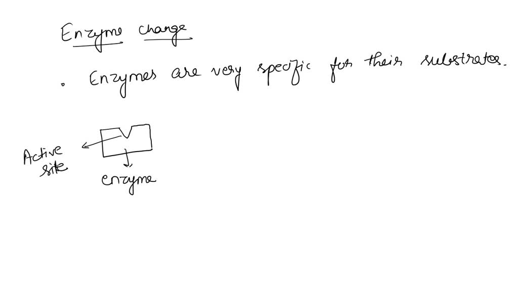 SOLVED PLEASE HELP!!!!!!!!!!!!!!!!!!!!!!!!!!!!!!!!How the does the