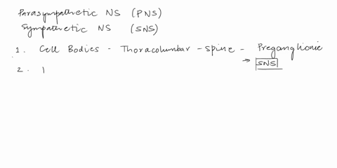 us-figure-152comparing-somatic-motor-and-autonomic-innervation-drag-and-drop-the-labels-on-the-left-to-correctly-match-the-statementsphrases-on-the-right-answers-may-be-used-more-than-once-o-19233