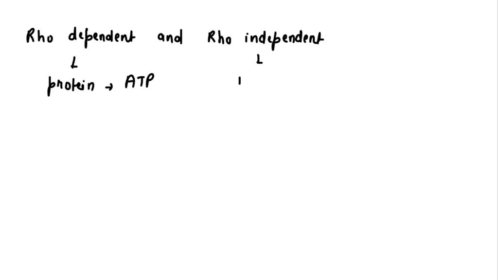 SOLVED: What is meant by Rho dependent and independent transcription ...