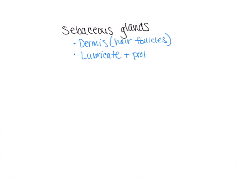 sebaceous-glands-a-secrete-substances-that-lubricates-and-protect-the-epidermis-b-occur-in-the-epidermis-c-assist-with-thermoregulation-d-have-an-ectodermal-origin-e-prevents-water-loss-in-amphibian-s