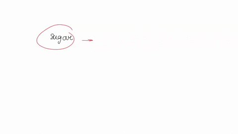 during-cellular-respiration-the-covalent-bonds-of-a-molecule-are-broken-down-to-form-products-which-molecule-is-broken-down-o-water-o-carbon-dioxide-sugar-o-adp-14505