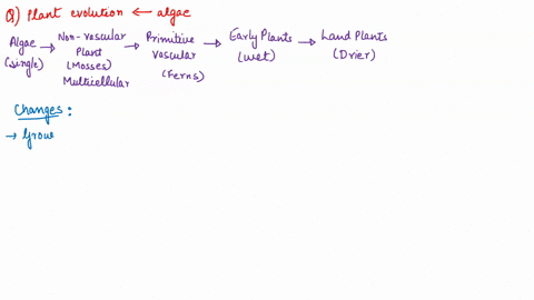 quesdon-16-2-points-which-of-these-facts-provides-the-best-support-for-the-hypothesis-that-plants-evolved-from-green-algae-plants-have-not-evolved-from-green-algae-the-chloroplasts-of-plants-90314