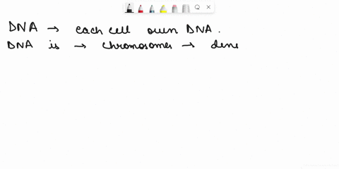 which-organelle-is-dna-usually-found-on-what-cytoplasm-cell-membrane-ovacuole-nucleus-66844
