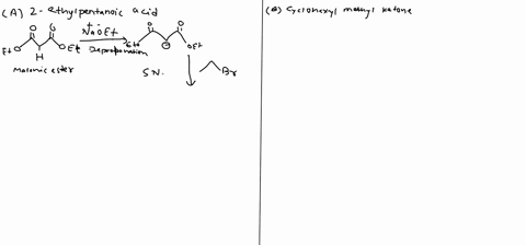 synthesis-1-6-points-how-would-you-prepare-each-of-the-follwing-compounds-using-either-an-acetoacetic-ester-or-a-malonic-ester-synthesis-show-all-intermediates-and-all-reagents-a-2-ethylpent-98688