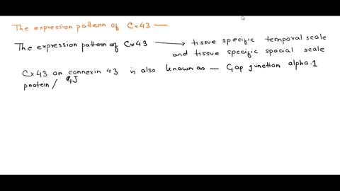 many-cells-within-a-tissue-are-joined-by-gap-junctions-gap-junctions-are-formed-between-the-plasma-membranes-of-two-adjacent-cells-by-proteins-called-connexins-the-gap-junctions-between-the-48492