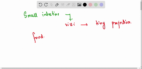 how-is-small-intestine-is-designed-to-absorb-digested-food-explain-please-give-the-big-answer-i-want-to-write-my-notes-please-69342