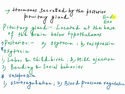 name-the-hormones-secreted-from-posterior-pituitary-and-describe-their-functions-in-the-body-62171