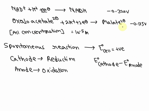 the-e-of-the-nadnadh-oxaloacetatemalate-reduction-half-reaction-is-0320-v-the-ee-reduction-half-reaction-is-0175v-oftne-nad-nadh-oxaloacetate-and-malate-when-the-concentrations-are-all-10-m-05017