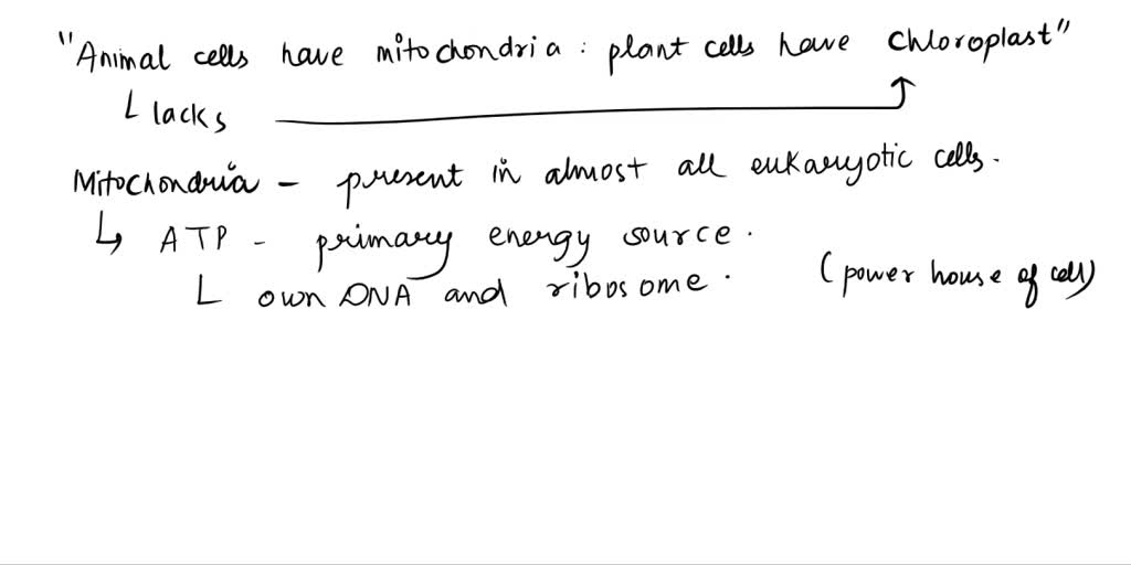 the cells of plants and animals lack nuclei true or false