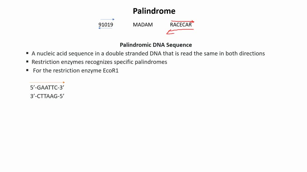 SOLVED: What is Palindromic DNA Sequence? What is Palindromic DNA ...