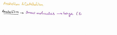 11-metabolism-include-catabolic-and-anabolic-reactions-which-of-the-followings-describe-anabolic-reactions-a-smaller-molecules-are-generated-from-the-breakdown-of-larger-molecules-and-nutrie-66994