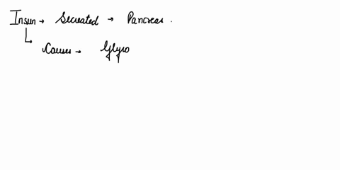 which-of-the-following-is-not-a-1-poin-n-action-of-insulin-synthesis-of-proteins-in-most-cells-synthesis-of-glycogen-in-the-liver-synthesis-of-glycogen-in-skeletal-muscle-synthesis-of-fatty-53488