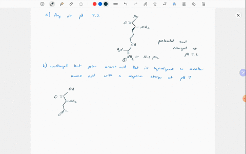 draw-the-structures-for-the-amino-acids-under-these-conditions-a-arg-at-ph-72-b-when-this-polar-but-uncharged-r-group-is-hydrolyzed-this-amino-acid-is-converted-into-another-amino-acid-havin-85171