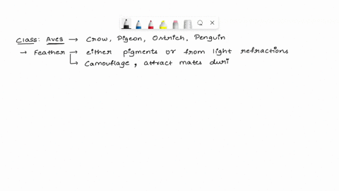 please-answer-all-the-three-questions-correct-and-rewrite-the-false-statemerts-b_-birds-have-feathers-of-the-same-colour-1-_-2-woodpeckers-have-short-beaks-3-sunbird-is-a-migratory-bird-50862