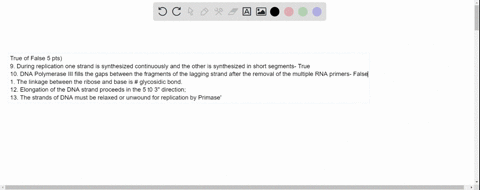 true-of-false-5-pts-during-replication-one-strand-is-synthesized-continuously-and-the-other-is-synthesized-in-short-segments-10-dna-polymerase-iii-fills-the-gaps-between-the-fragments-of-the-13367