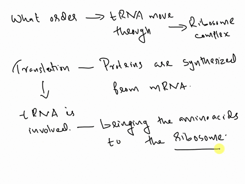in-what-order-does-trna-move-through-the-sites-on-ribosome-complex-explain-what-happens-at-each-site-_-25996