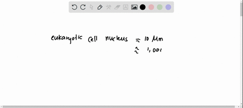 the-size-of-a-eukaryotic-cell-nucleus-approximately-10-hm-diameter-and-human-chromosome-approximately-fold-that-can-fit-into-the-nucleus_-10-times-1000000-times-10000-times-320-times-approxi-22723