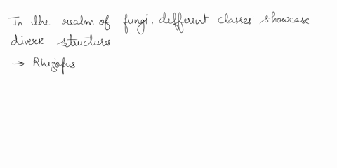 kind-of-fungus-ungi-examples-of-that-funel-hot-serua-named-reproduction-zygomycetes-fungus-s-classlfied-and-how-ue-structures-are-ort-e-nlel-astyualrchl-20s1p-srx-a-srra-03pb-zygumyceh-allor-37138