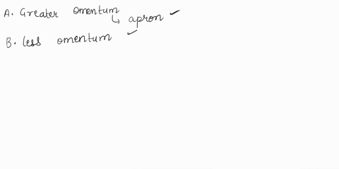 greater-omentum-aconnects-lesser-curvature-of-stomach-to-the-liverprotects-the-porta-hepatis-lesser-omentum-b-anchors-large-intestines-to-the-posterior-abdominal-wall-capron-from-the-grater-35077