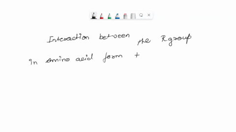 the-conformation-or-shape-of-a-protein-determines-its-function-there-are-four-orders-of-protein-structure-primary-secondary-tertiary-and-quaternary-which-of-the-following-statements-is-accur-54613