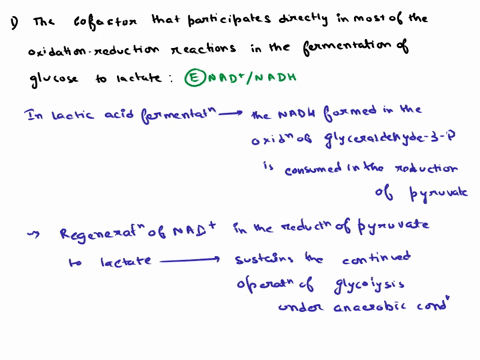 fermentation-of-glucose-to-lactate-aadp-batp-c-fadfadh-d-glyceraldehyde-3-phosphate-e-nadnadh-2in-comparison-with-the-resting-state-actively-contracting-human-muscle-tissue-has-a-a-higher-co-15784