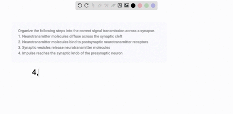 organize-the-following-steps-into-the-correct-signal-transmission-across-a-synapse-1-neurotransmitter-molecules-diffuse-across-the-synaptic-cleft-2-neurotransmitter-molecules-bind-to-postsyn-26715