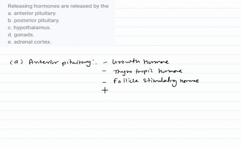 releasing-hormones-are-released-by-the-a-anterior-pituitary-b-posterior-pituitary-c-hypothalamus-d-g-34738