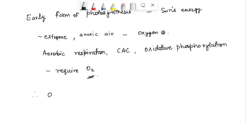 SOLVED: A new species of obligate anaerobe, a bacterium, has been found ...