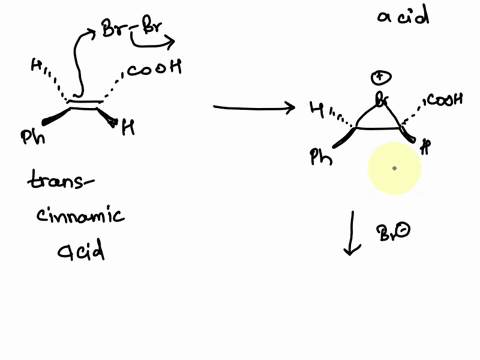 draw-the-two-enantiomers-for-the-23-dibromocinnamic-acid-products-from-your-reaction-and-label-the-configuration-r-or-s-of-each-chirality-center-remember-that-you-started-with-trans-cinnamic-55985