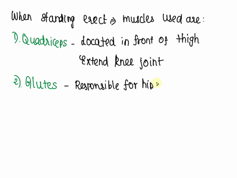 which-muscles-are-used-when-performing-the-following-actions-standing-erect-31044