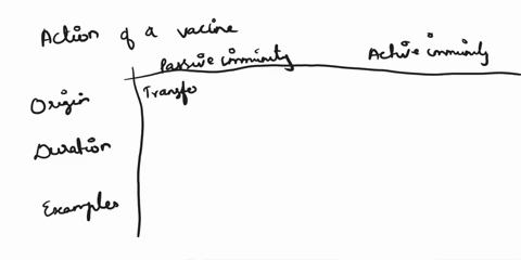 which-best-describes-the-action-of-a-vaccine-passive-immunity-that-is-artificially-acguired-passive-immunity-that-is-inaturally-acguiired-active-immunity-that-is-artificially-acquired-active-22213
