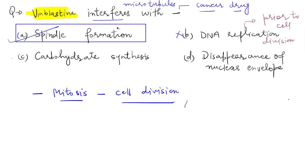 SOLVED: The cancer drug vinblastine interferes with synthesis of ...