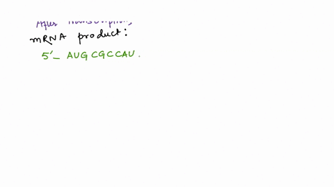 using-the-template-strand-shown-below-answer-the-following-questions-3-tacgcggtatcccagggctaaatcaa-5-1-what-would-the-mrna-sequence-be-after-transcription-2-what-would-the-amino-acid-sequence-14881